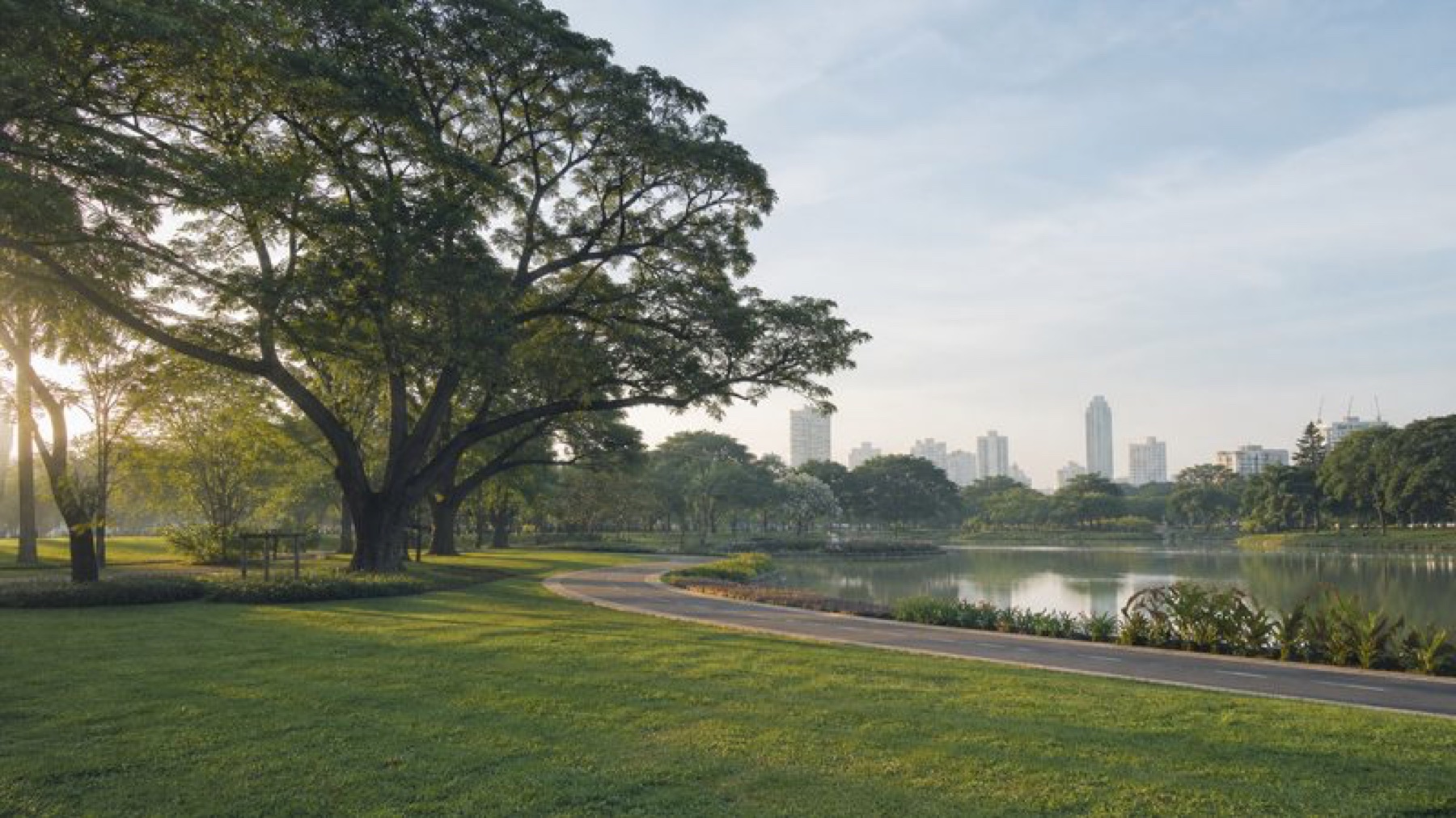 สวนสาธารณะ